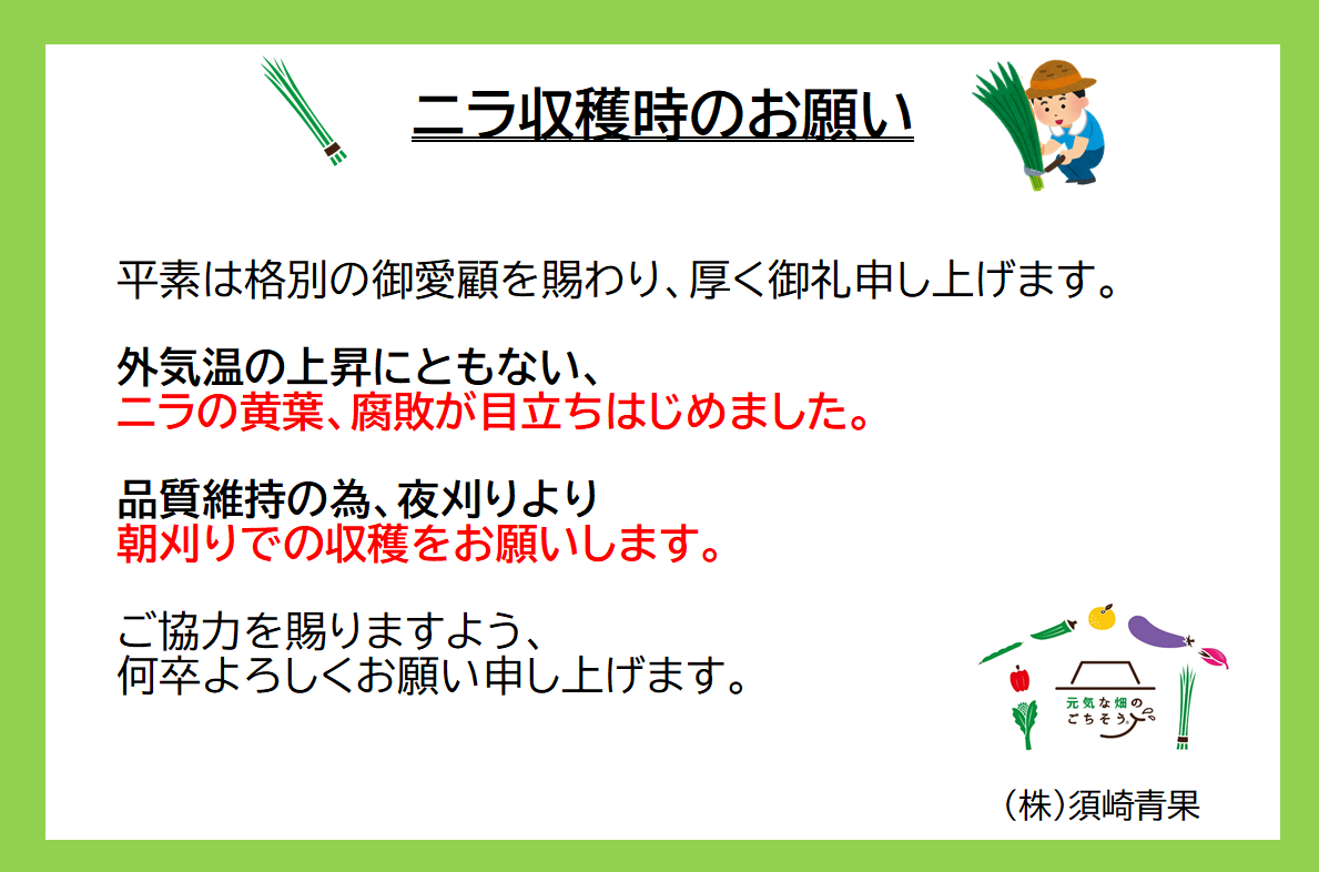 ニラ収穫時のお願い - 株式会社須崎青果