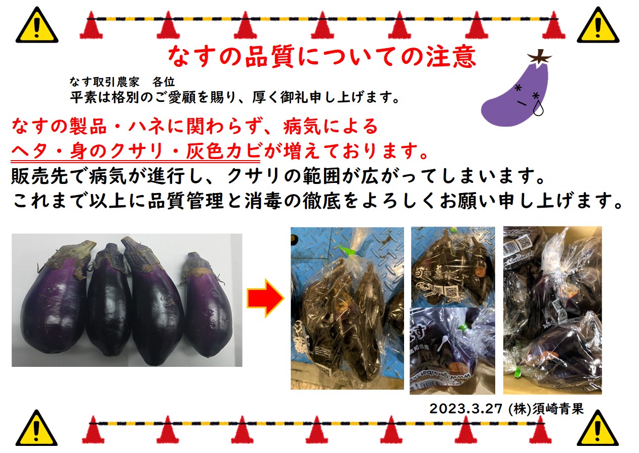 なす様確認用 なすの品質についての注意 - 株式会社須崎青果