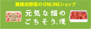 元気な畑のごちそう便