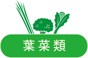 葉菜類