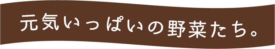 元気いっぱいの野菜たち。