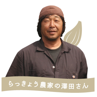 らっきょう農家の澤田さん