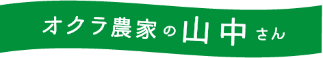 オクラ農家の山中さん